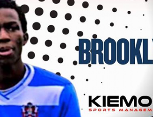 Welcome: Brooklyn Harry